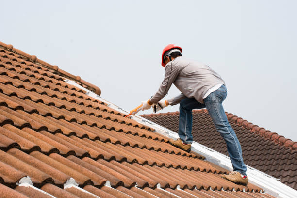 Best Commercial Roofing Services  in Guadalupe, AZ